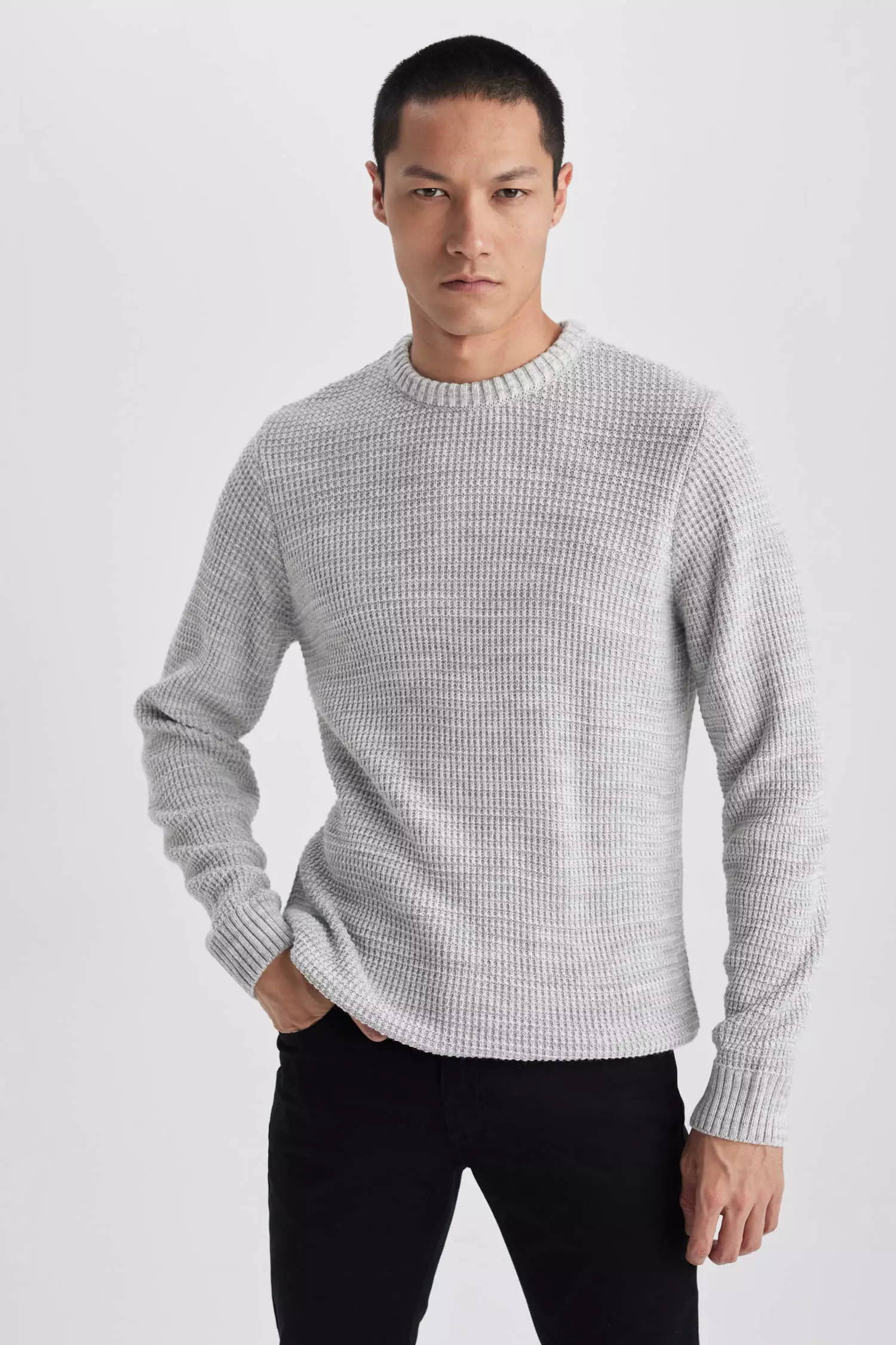 線上選購DeFacto Standard Fit Crew Neck Knitwear Pullover | ZALORA 台灣