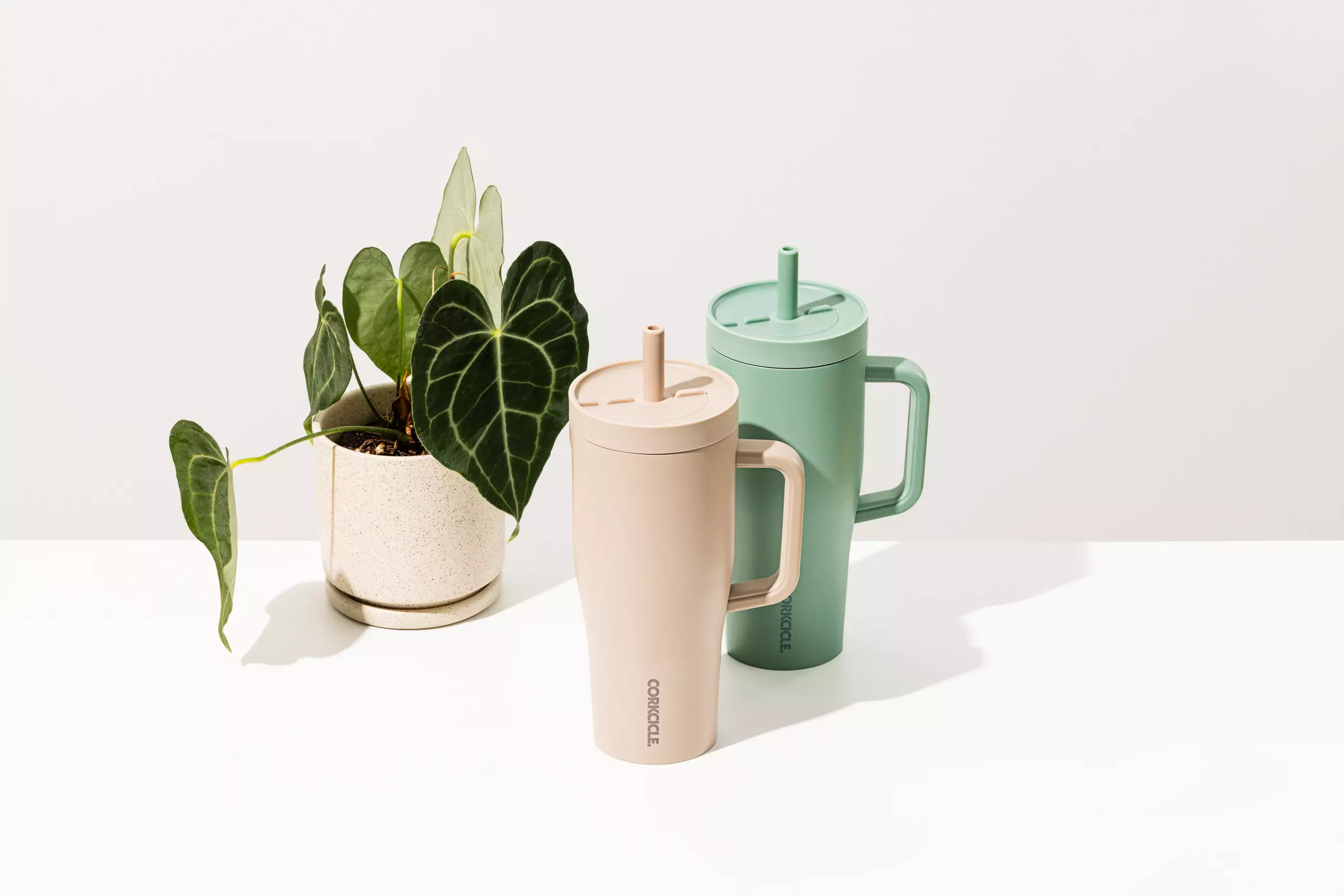 CORKCICLE Leakproof Cruiser 22oz - Desert