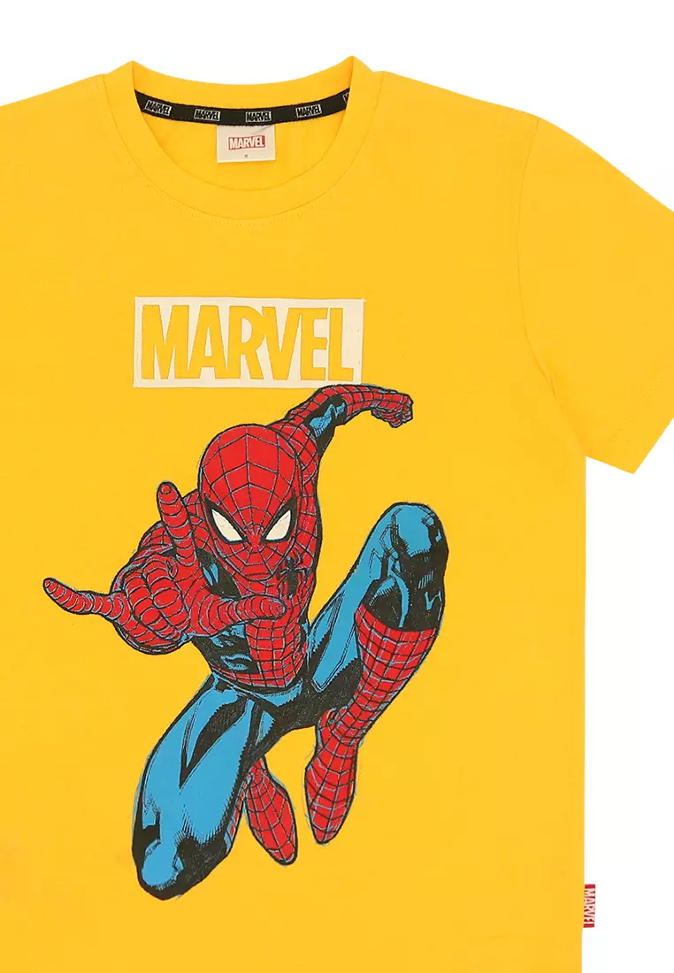 Boys Licensed Graphic T-Shirt Spidey Pose