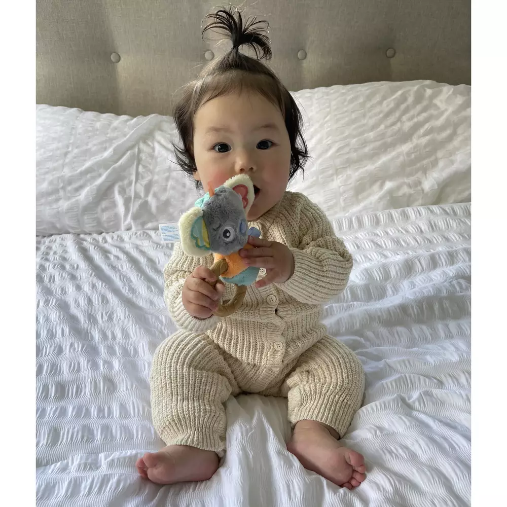 Playgro Fauna Friends Rattle Koala - Mainan Kerincingan Anak