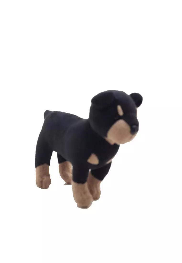 Rotweiller 8 Inch