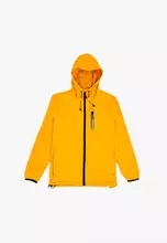 Dk Yellow