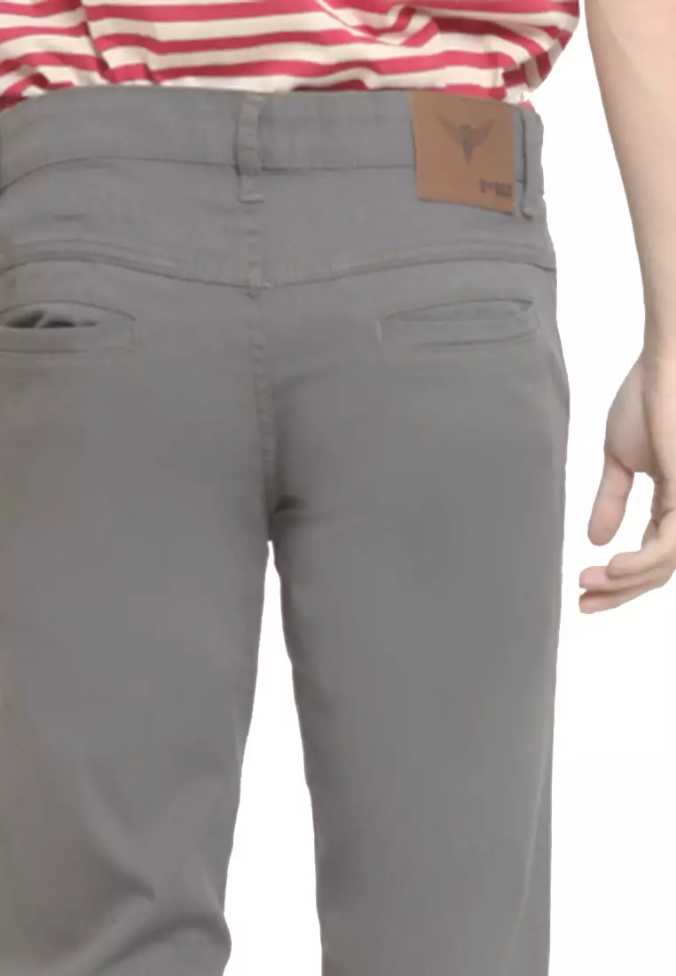 Long Pants Chinos Slim Fit Forever Grey