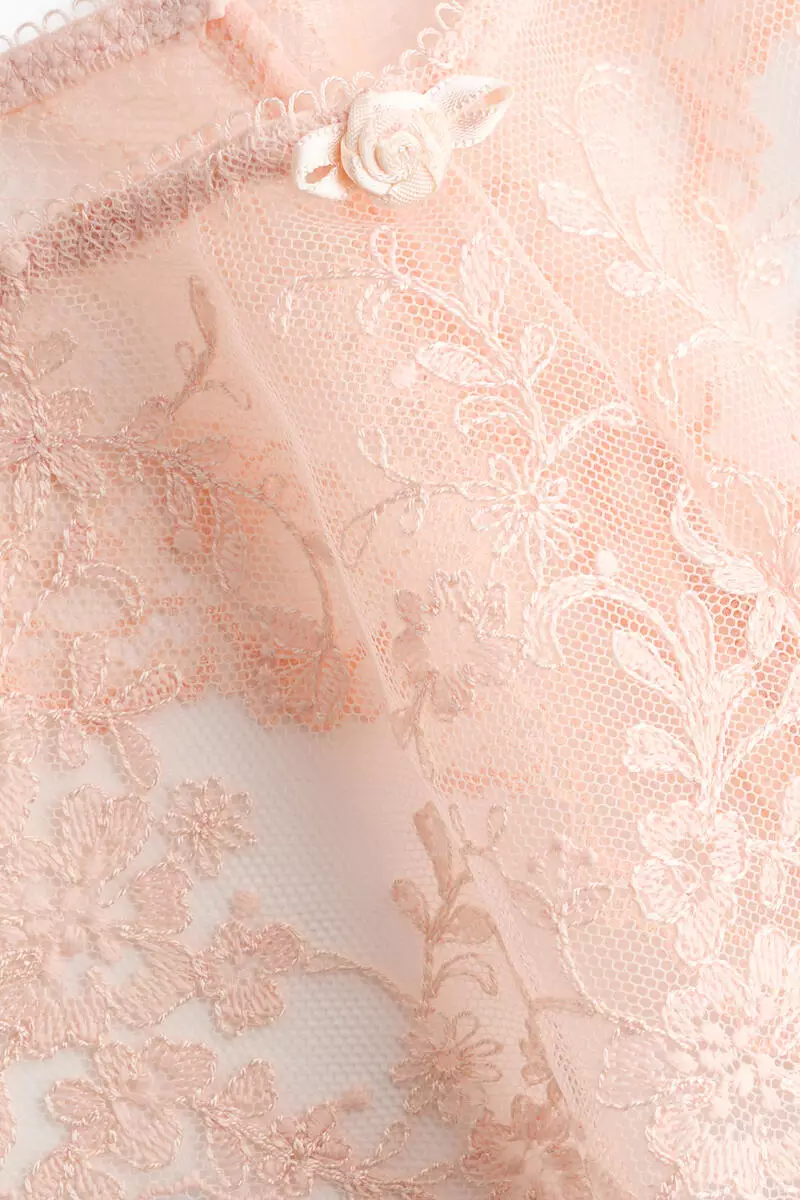 Embroidered thong briefs