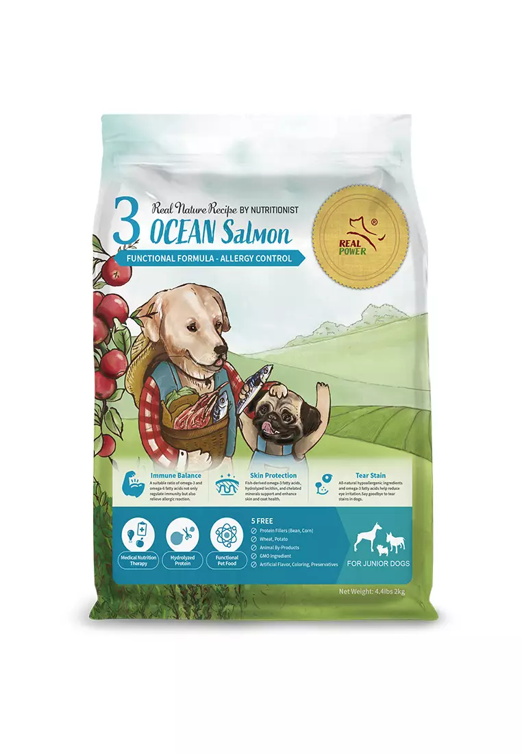 Buy Real Power Pet Food Holistic Dog Food for Junior (012months) (No