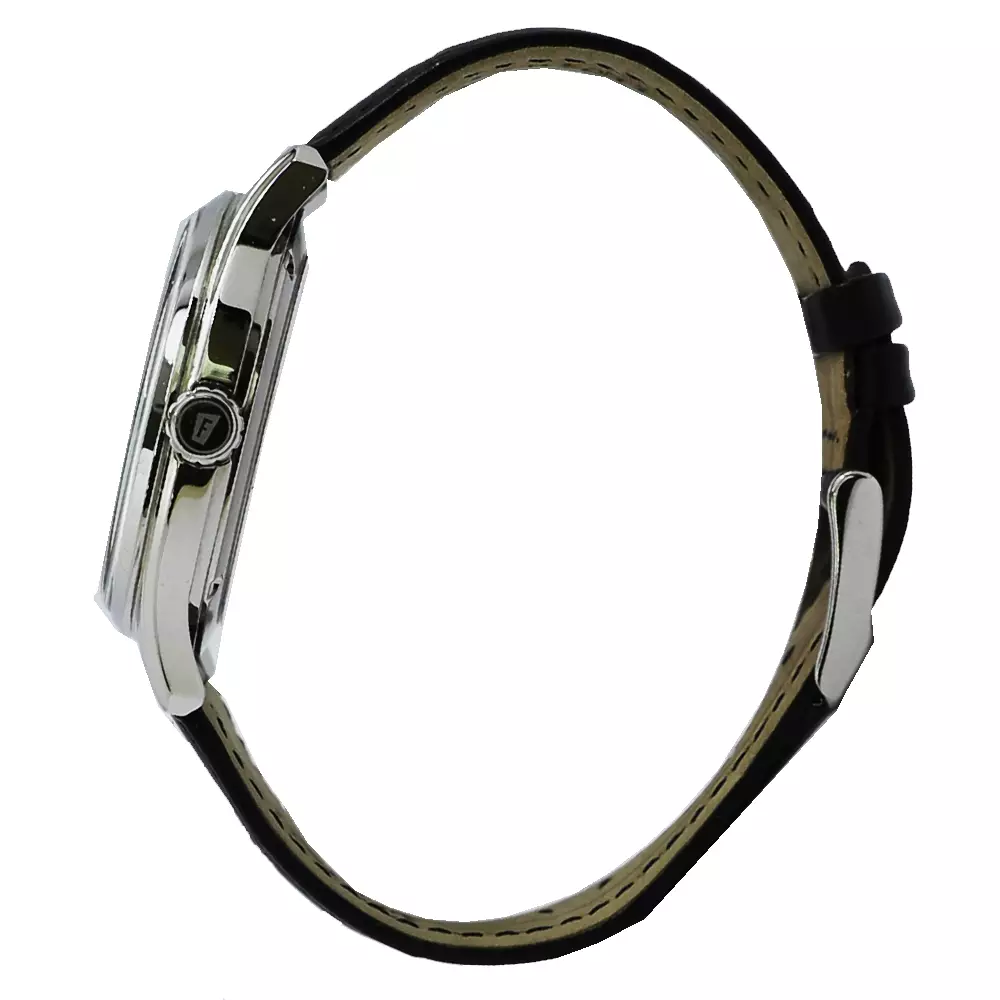 Festina Casual Men's Watches FES F16975/3