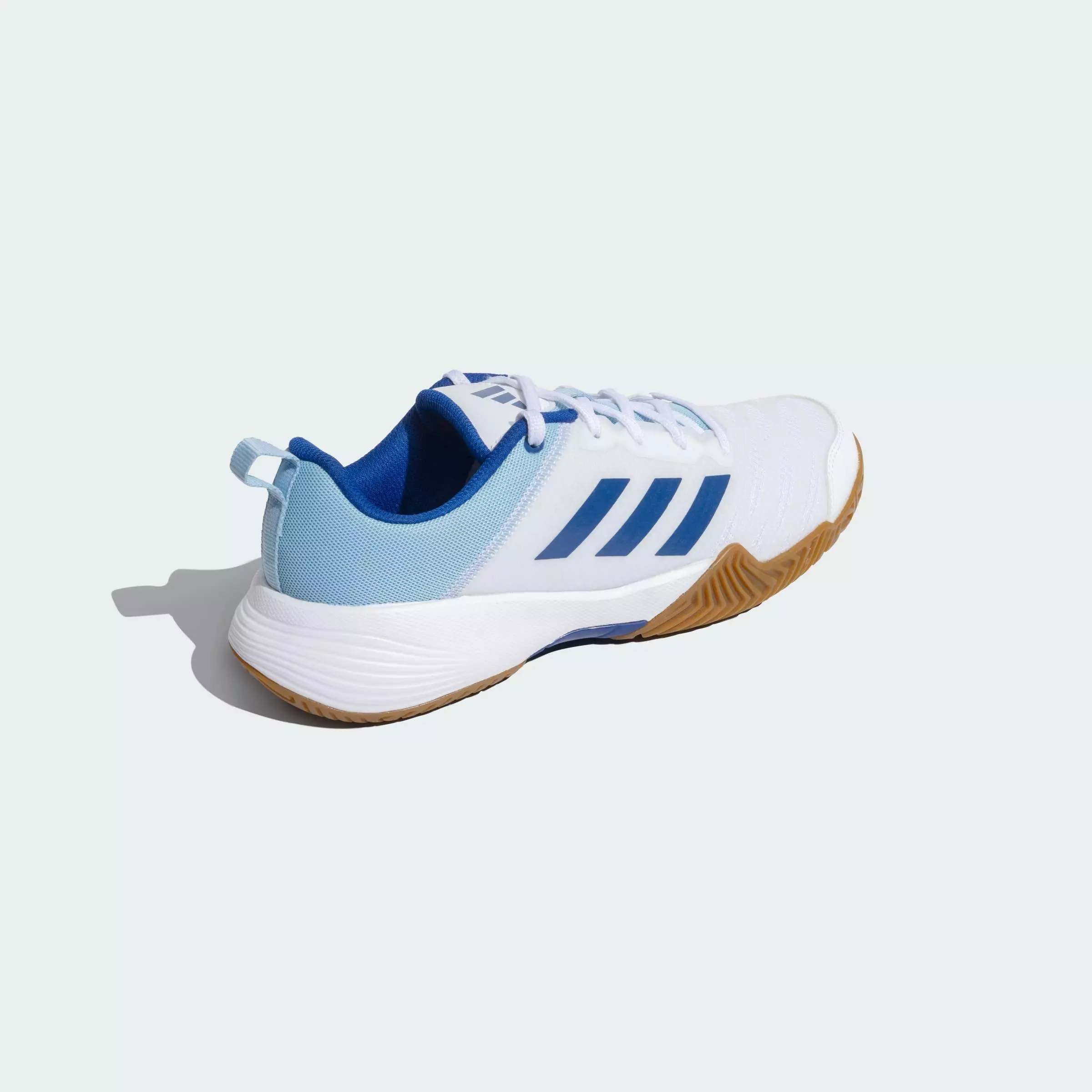 Lifestyle Indoor Reel Shoes Unisex White JK0767