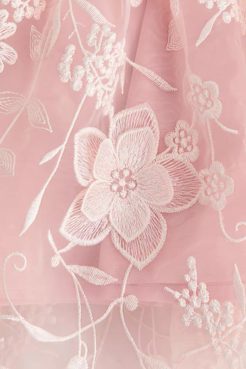 Embroidered organza dress