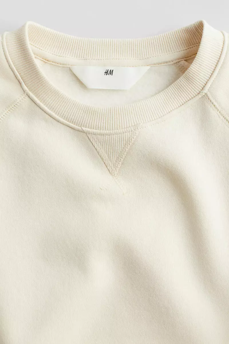 Buy H&M Crewneck sweatshirt 2024 Online ZALORA Philippines