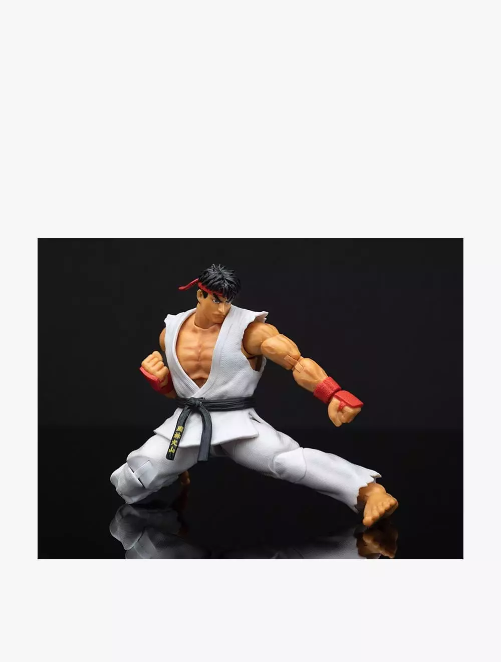 Jada Ryu Action Figure - JAD34215