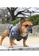Kiloninerpets grey (XL) H1 Tactical Pull-Over Hoodie Grey C02FBESBA3E6D1GS_3