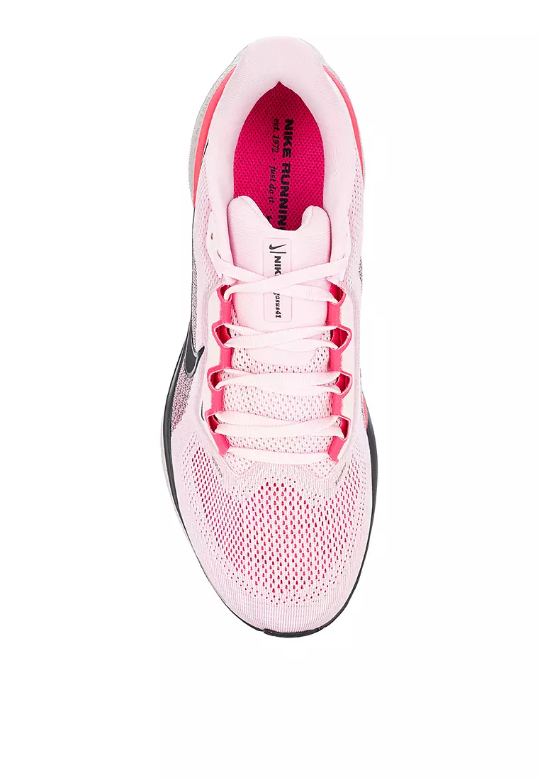Pegasus 41