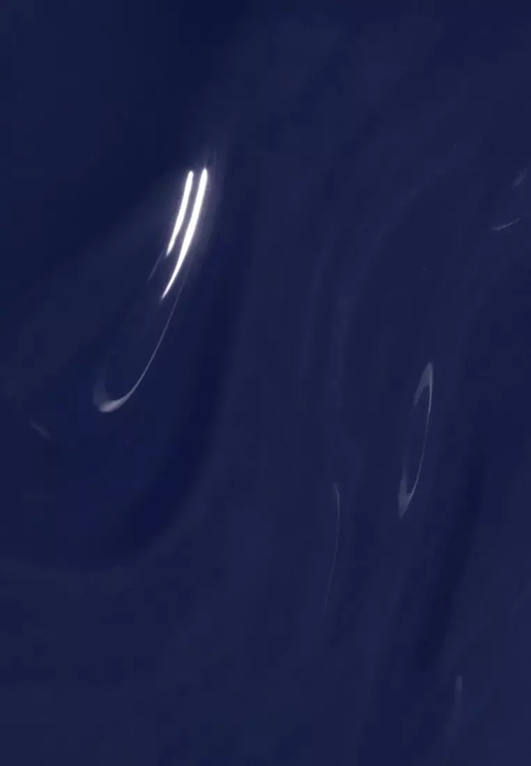 No Chips on my Shoulder