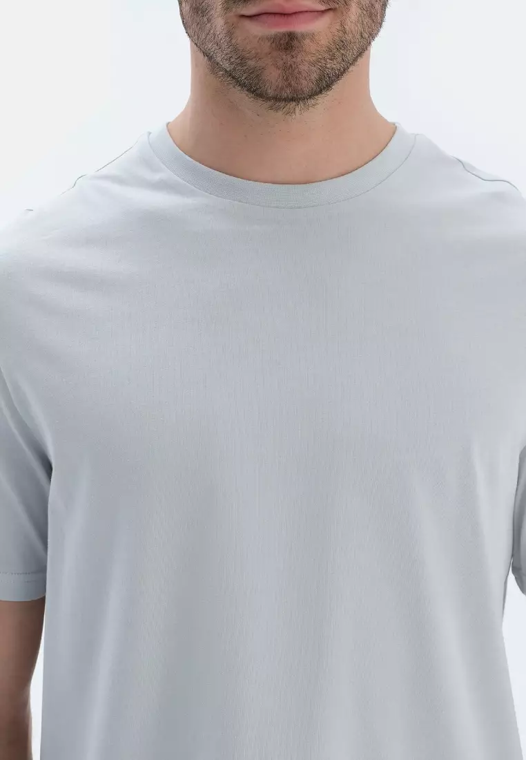 Light Grey T-Shirt, Crew Neck, Regular, Short Sleeve Sleepwear for Men