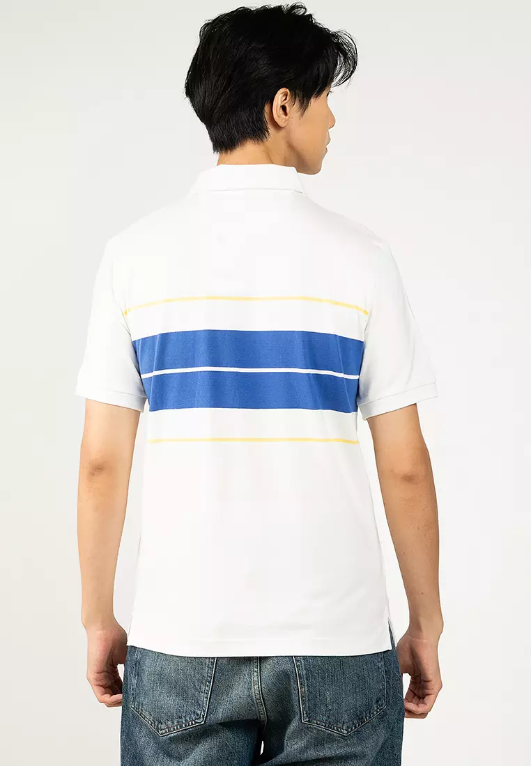 Shield 間條POLO恤