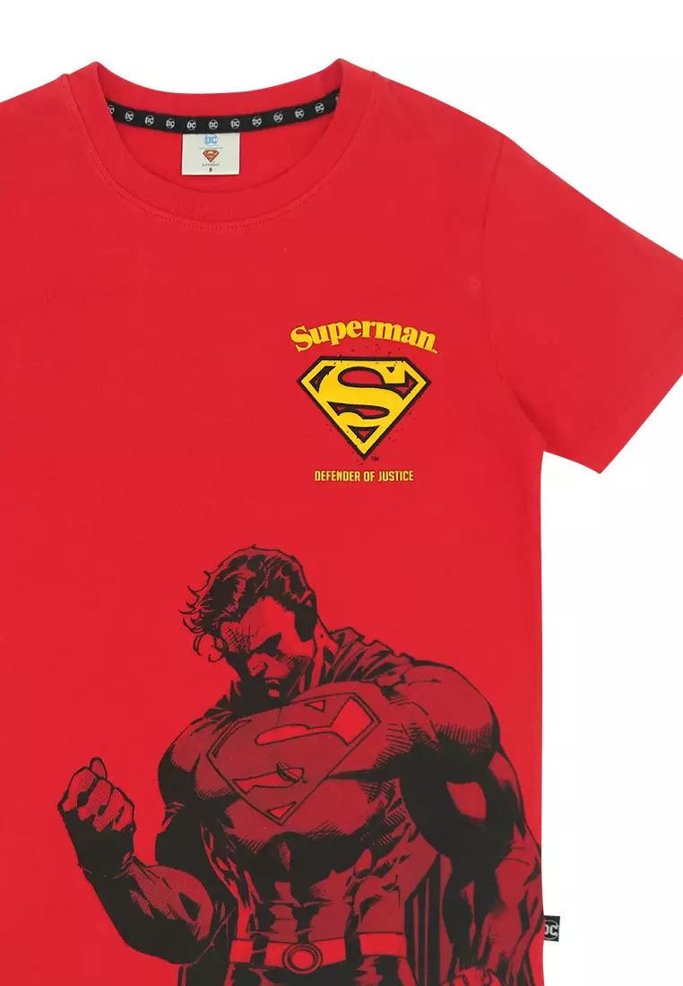 Boys Licensed Graphic T-Shirt "Defender of Justice"