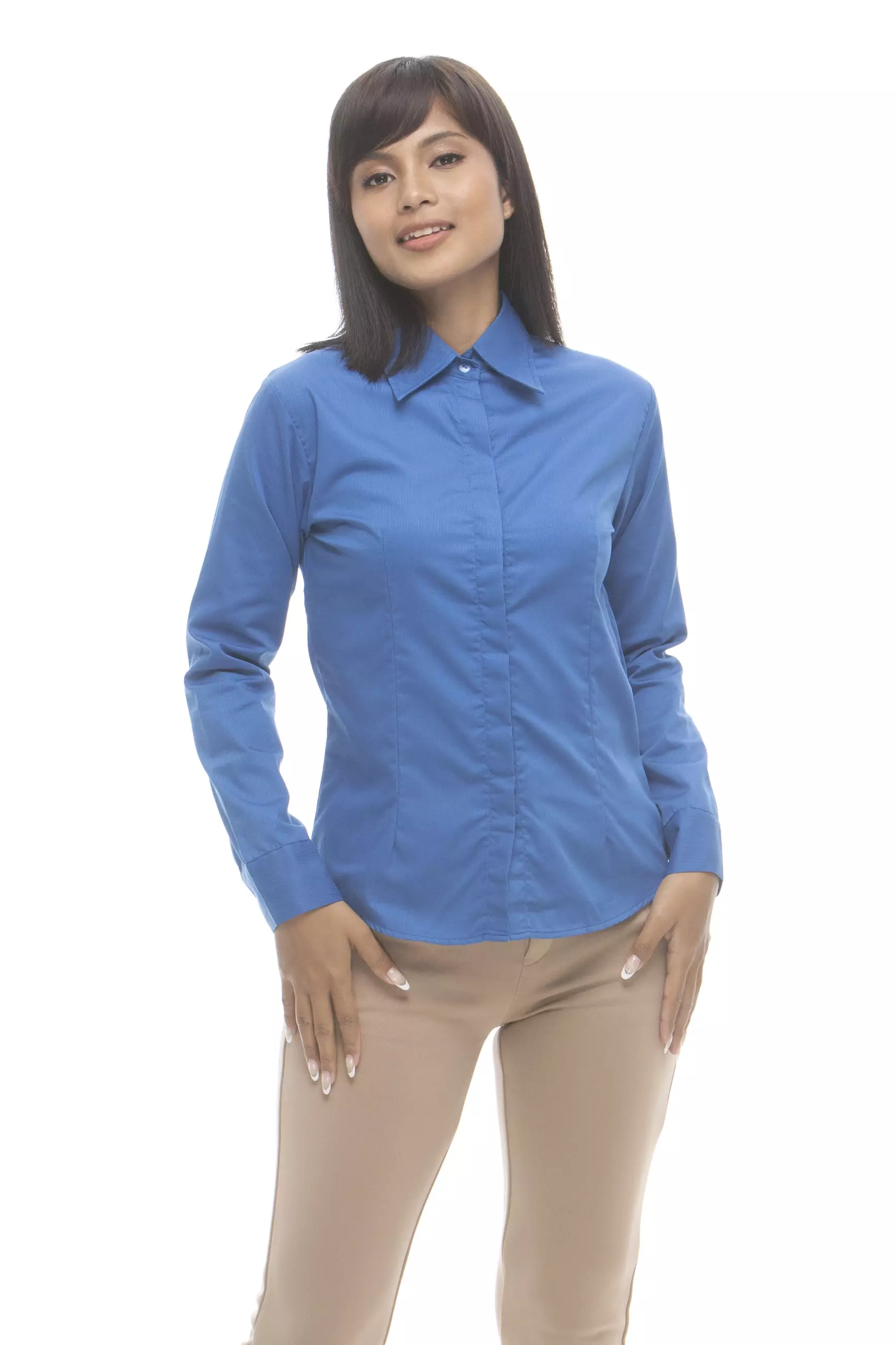 Delaney Pinstripe Long Sleeve Office Blouse