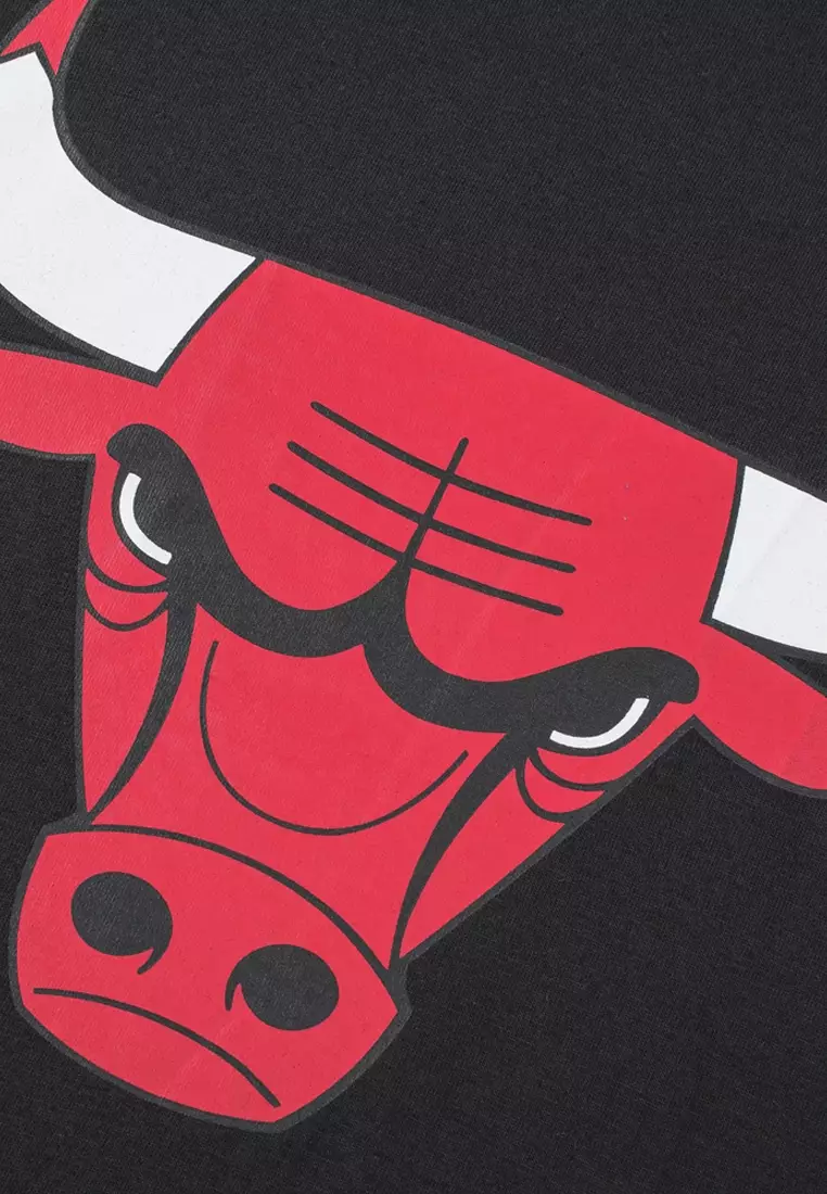 Chicago Bulls T-shirt For Men Core Collection [C]