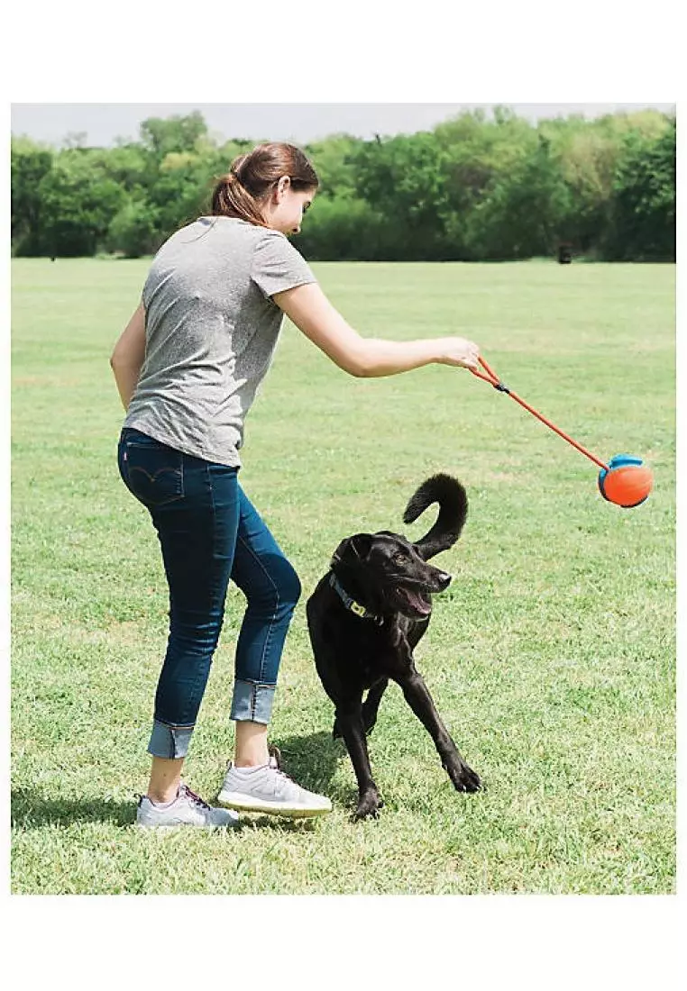 Chuckit 2024 rope fetch