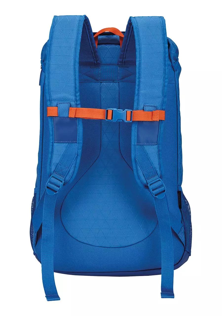 landlock backpack ii vivid