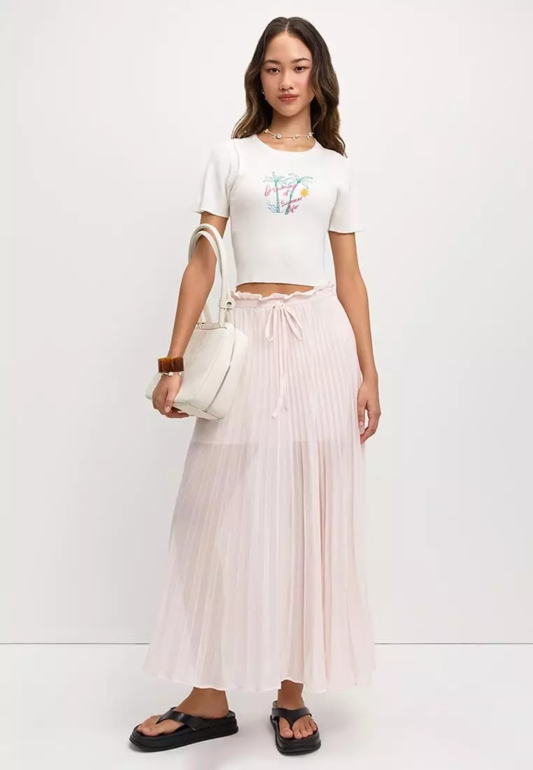 Sheer Pleated Skirt