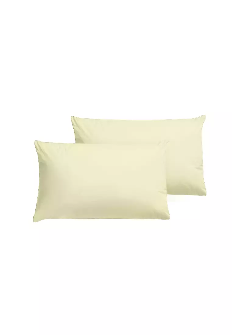 Buy AKEMI AKEMI Cotton Essentials Colour Home Divine Pillow Case 650TC