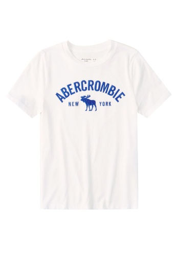 Buy Abercrombie Fitch Tech Logo T Shirt Online On Zalora Singapore